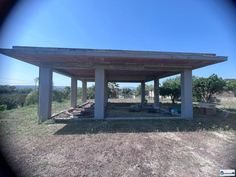 Immagine WhatsApp 2025-07-23 ore 17.39.11_efdfb82f.jpg